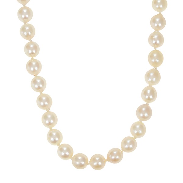Perlenkette, 14K, Gelbgold Detailbild #1